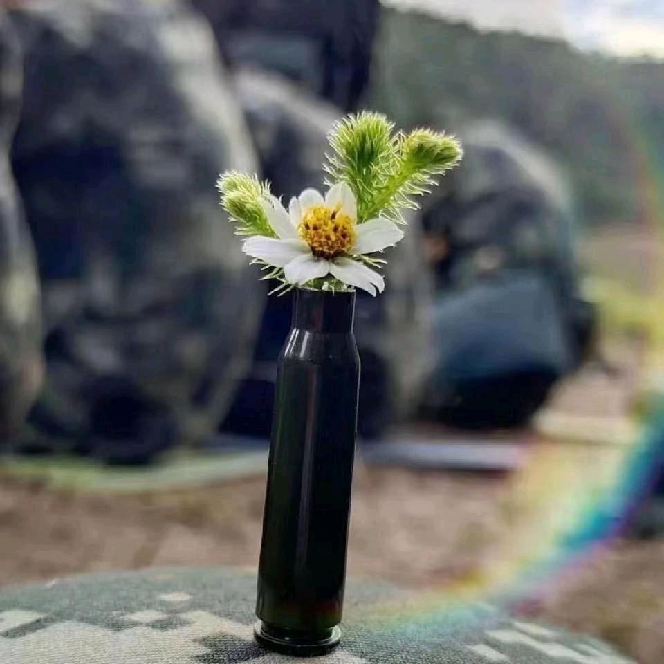 龍牌定制       🐂🍺