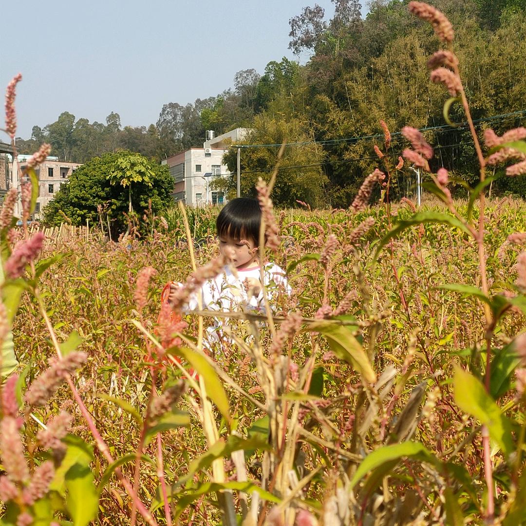 黎✧٩(ˊωˋ*)و✧
