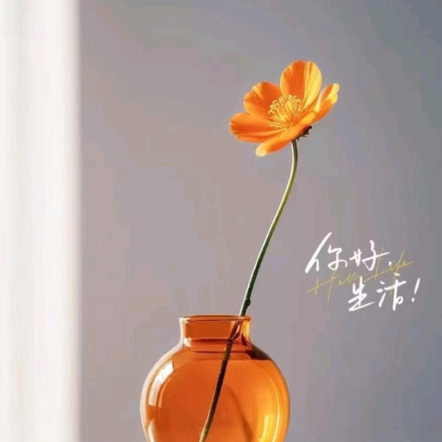美丽一生
