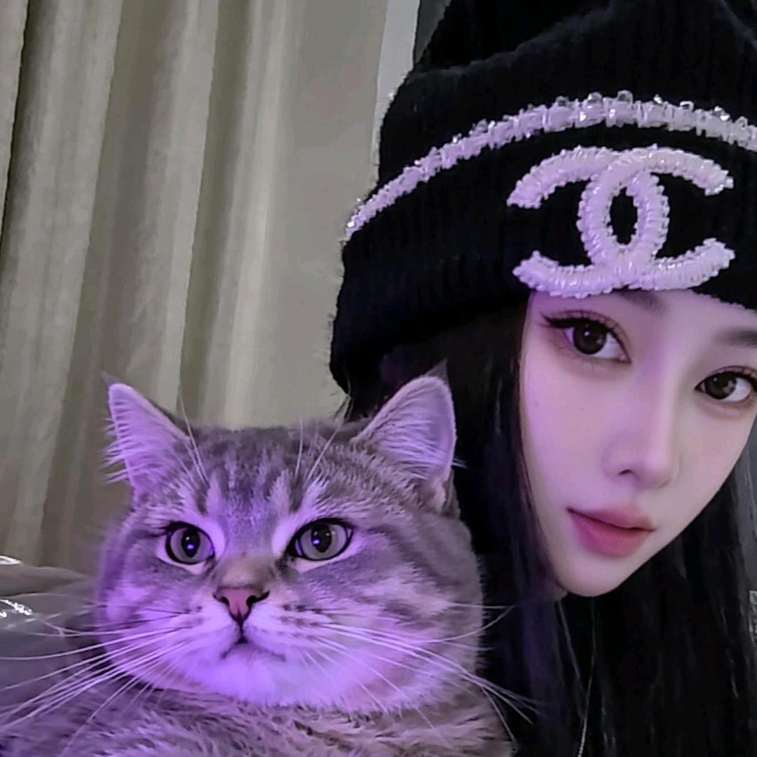 迷了鹿🦌
