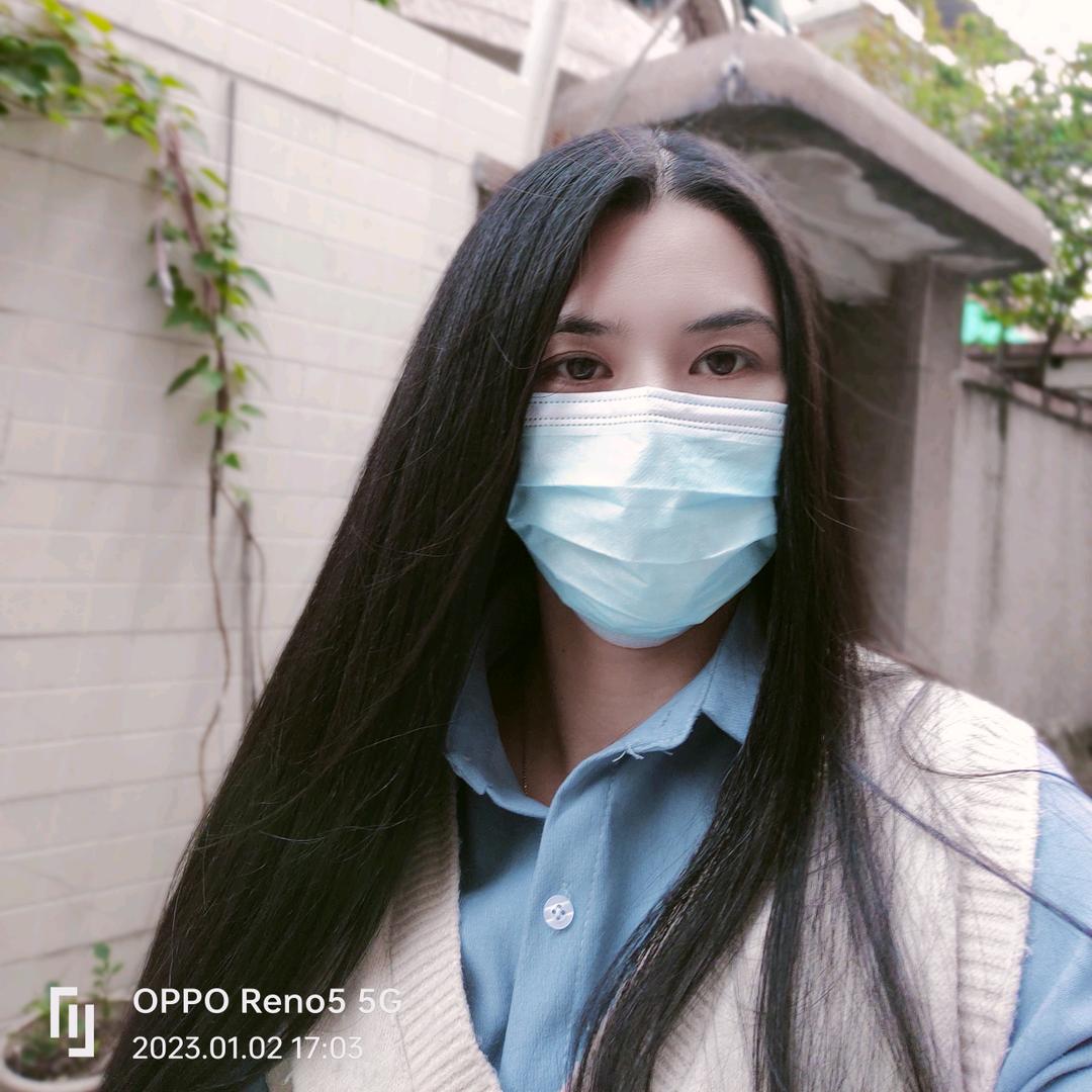 只是一只“杨”