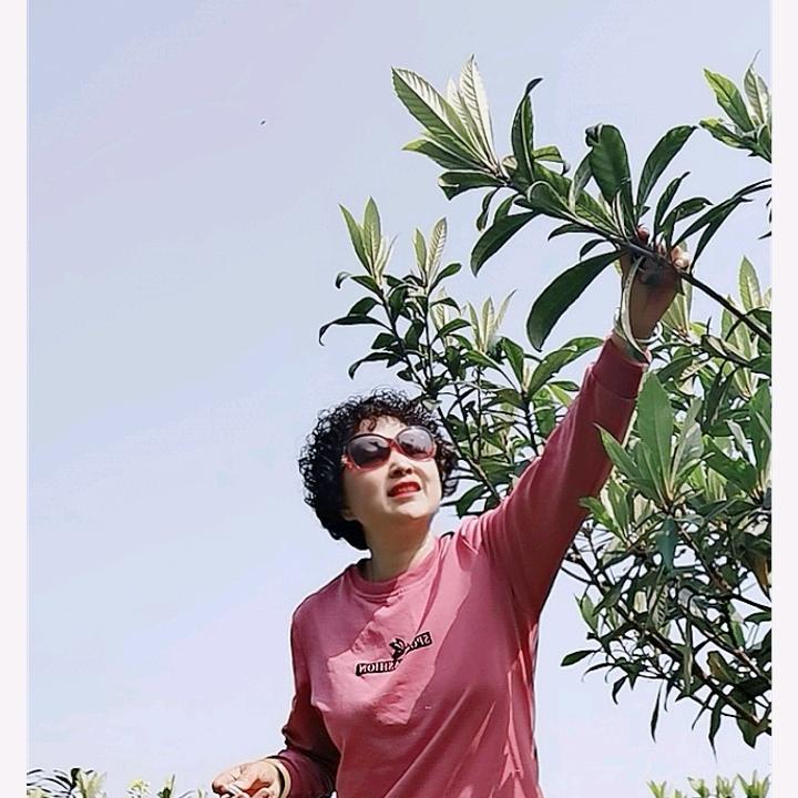 阿莲好物