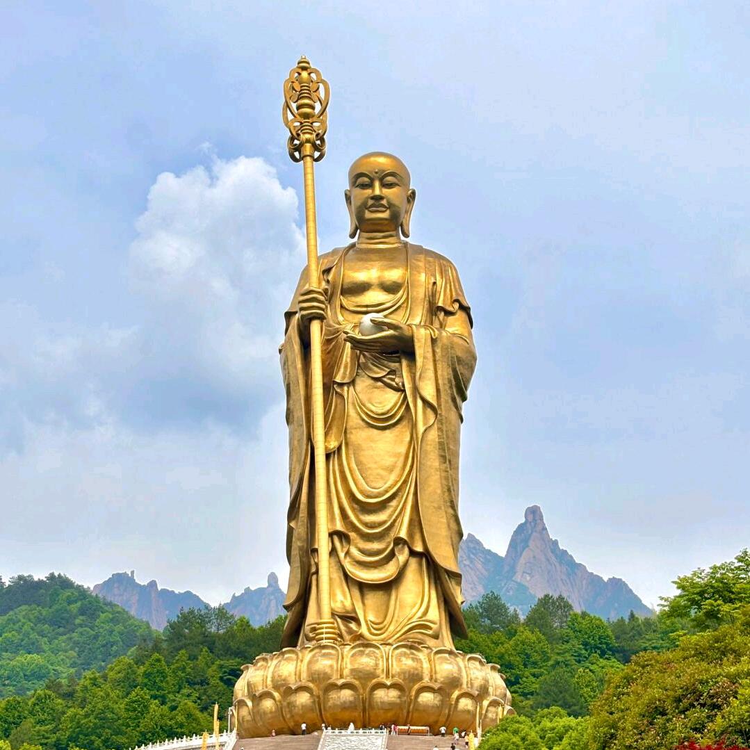 梧桐居士（随喜）
