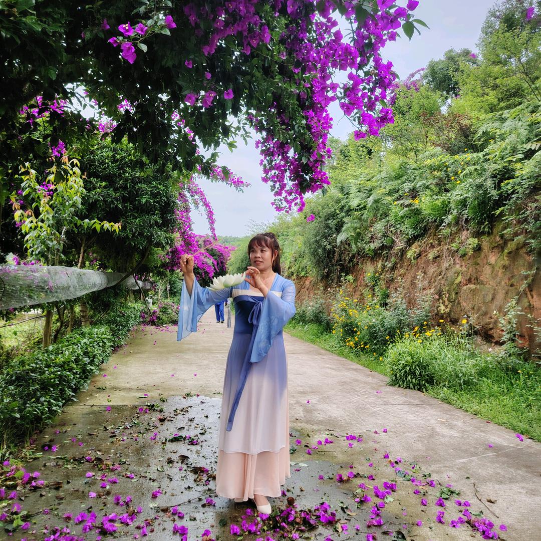 李家树