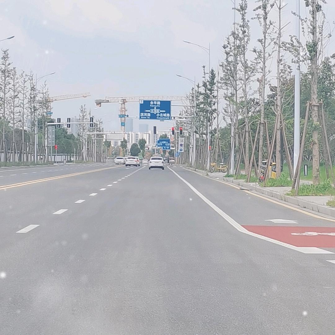 张公岭刘教练（直播号）