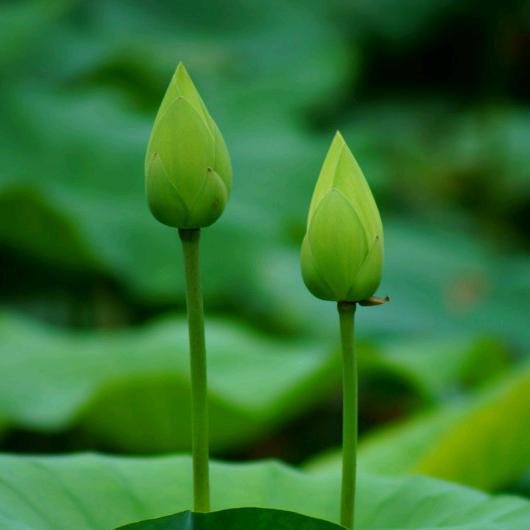 云☁️卷云☁️舒