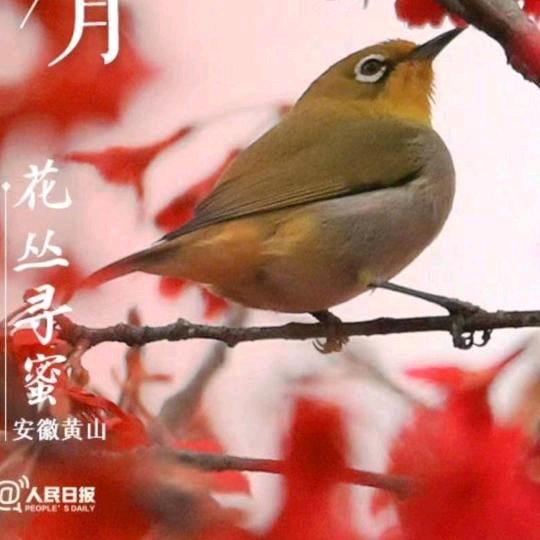 拼博
