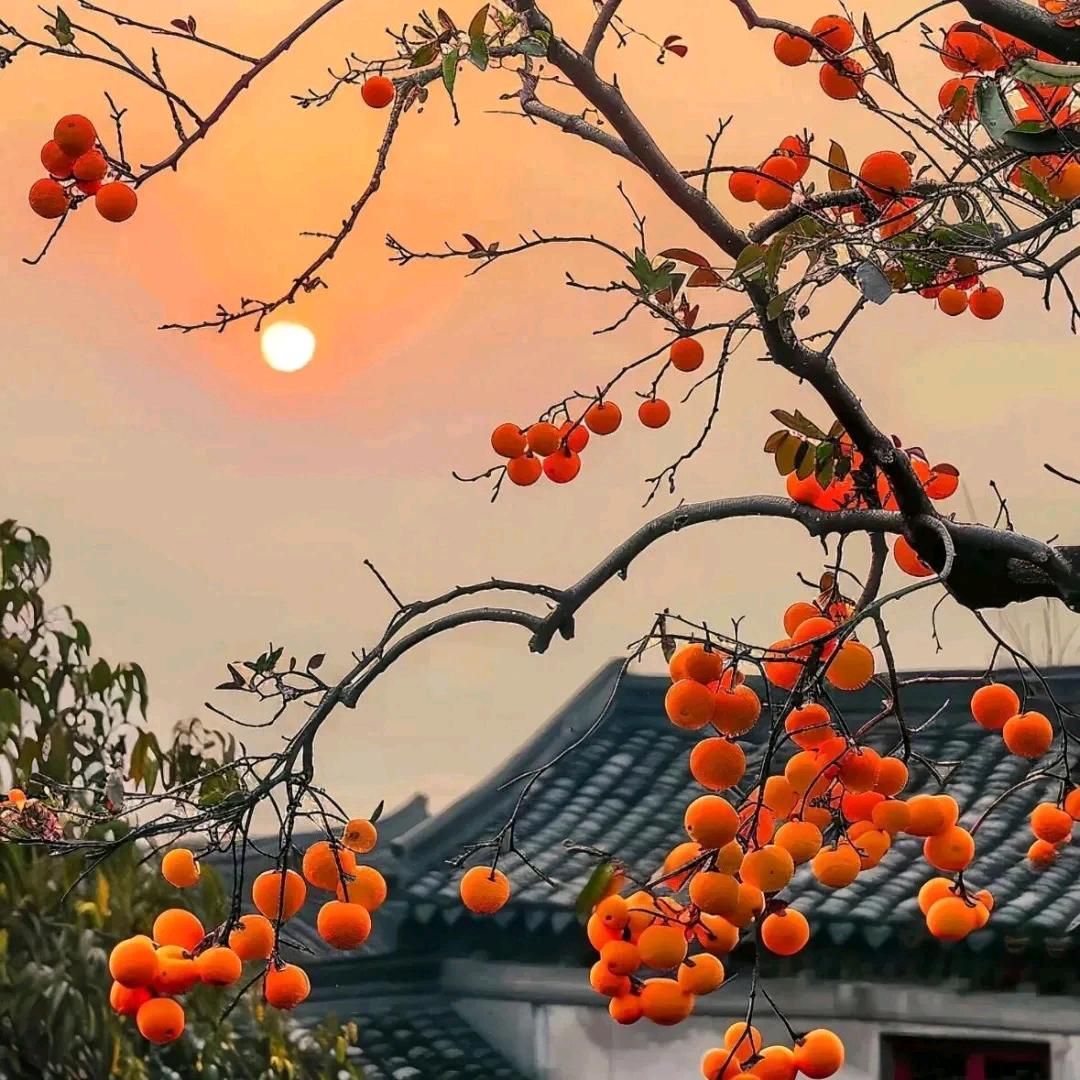 二两而已
