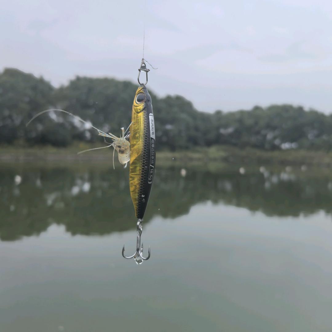 小鑫（三角洲）