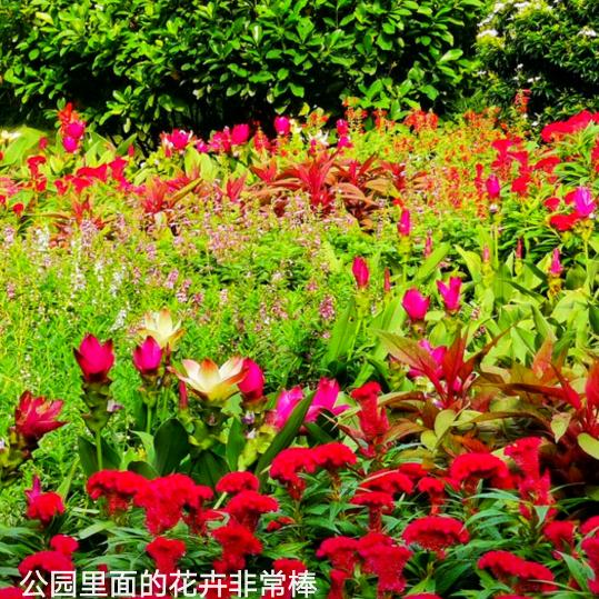 雨后彩虹
