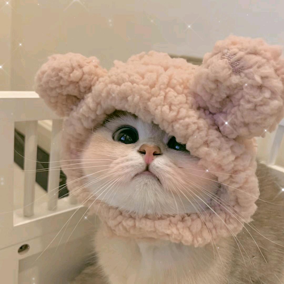 钮祜禄氏·小糯米