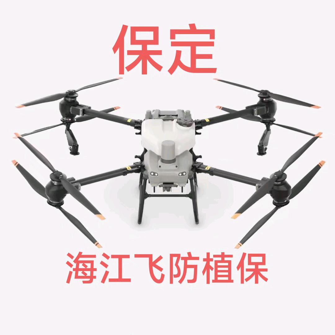 张北二台植保无人机 打药 吊运
