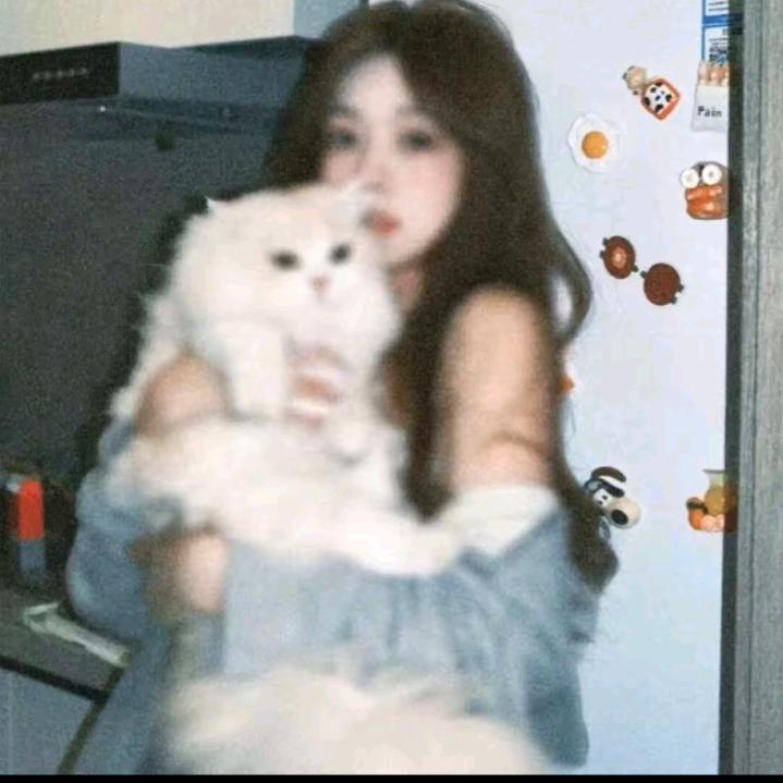 母蟑螂半夜找蟑螂丸
