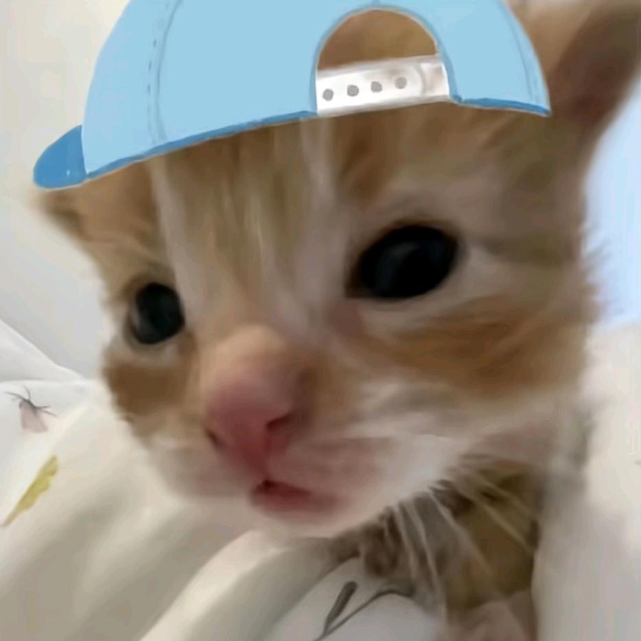 鹤.