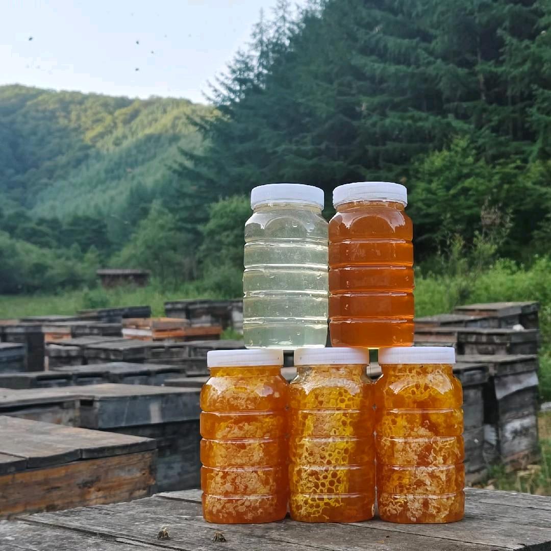 小朱养蜂日常分享