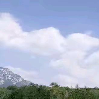 红玫瑰