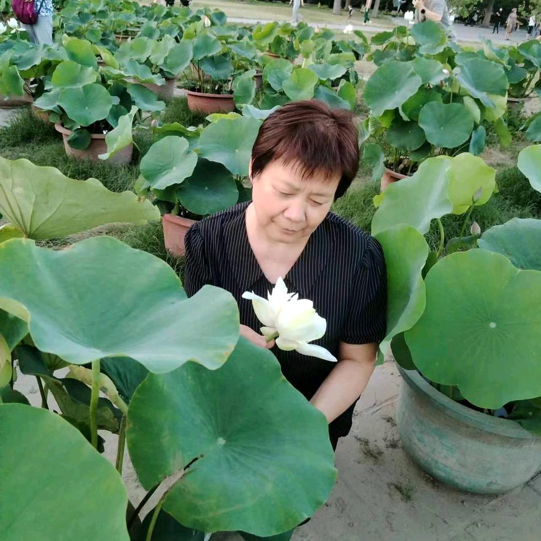 一生如梦🌸
