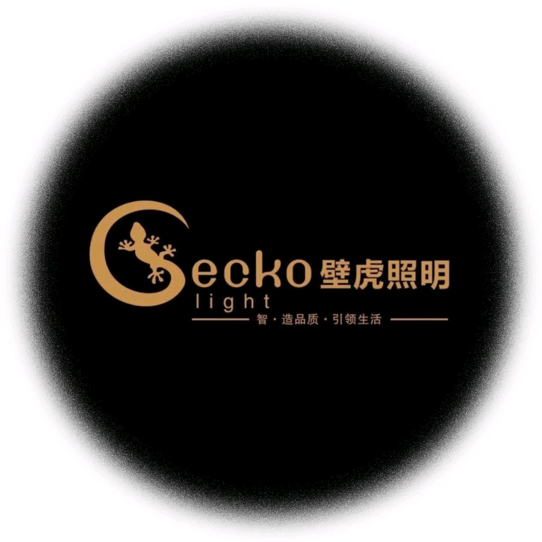 壁虎照明