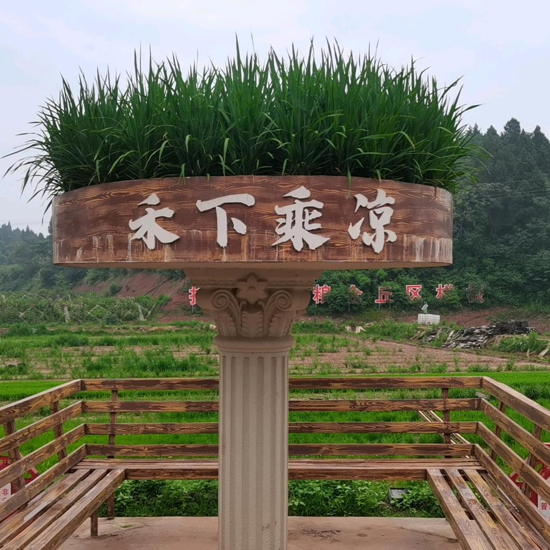 井研开副食店的巧巧