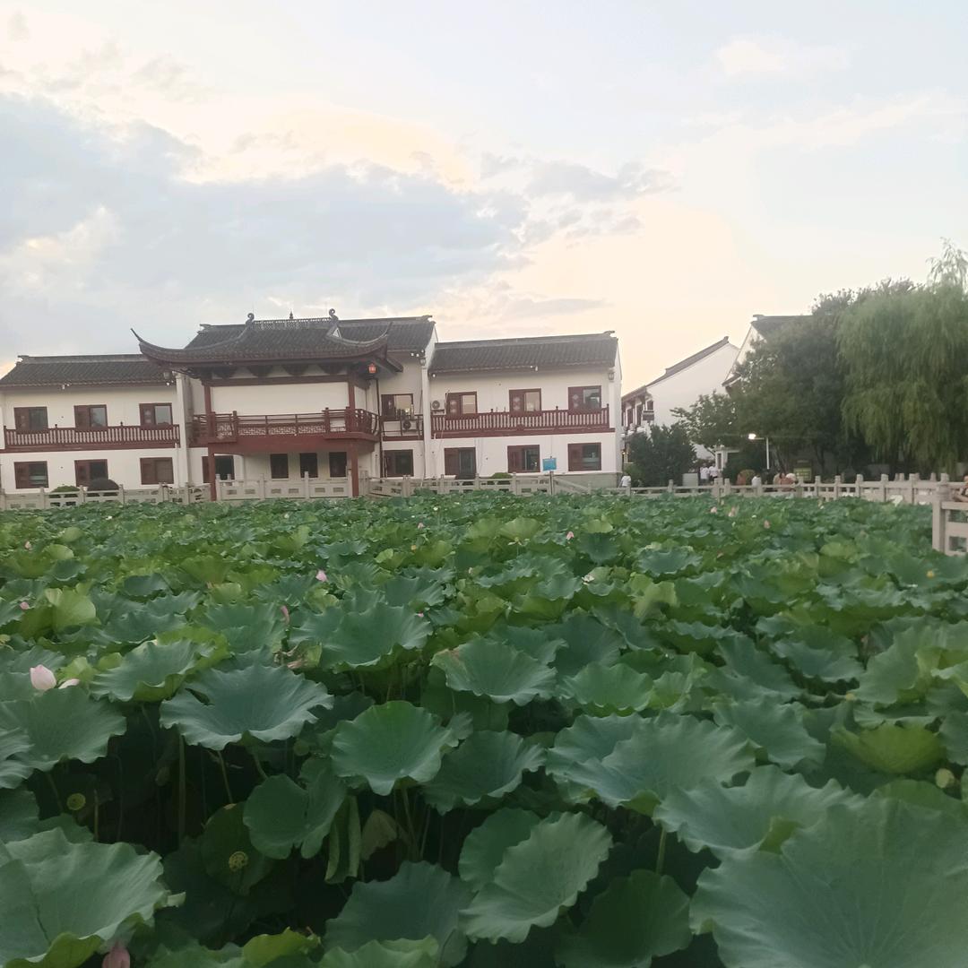 老许！