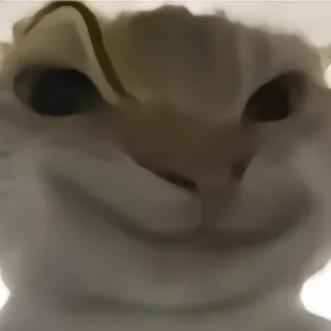 殃殃殃殃殃