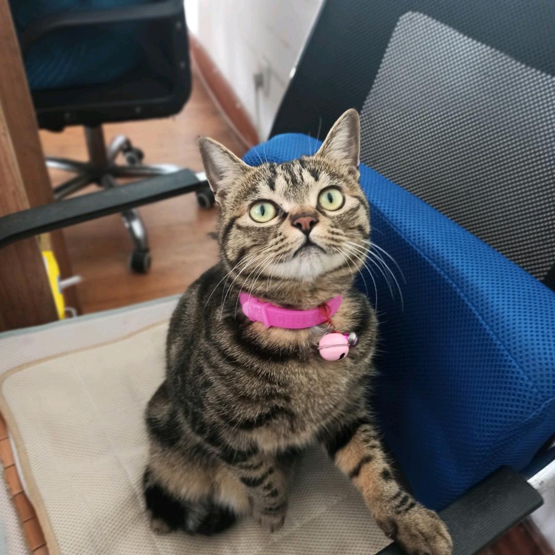 Alan