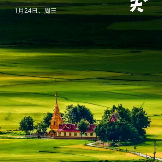 未来每一天