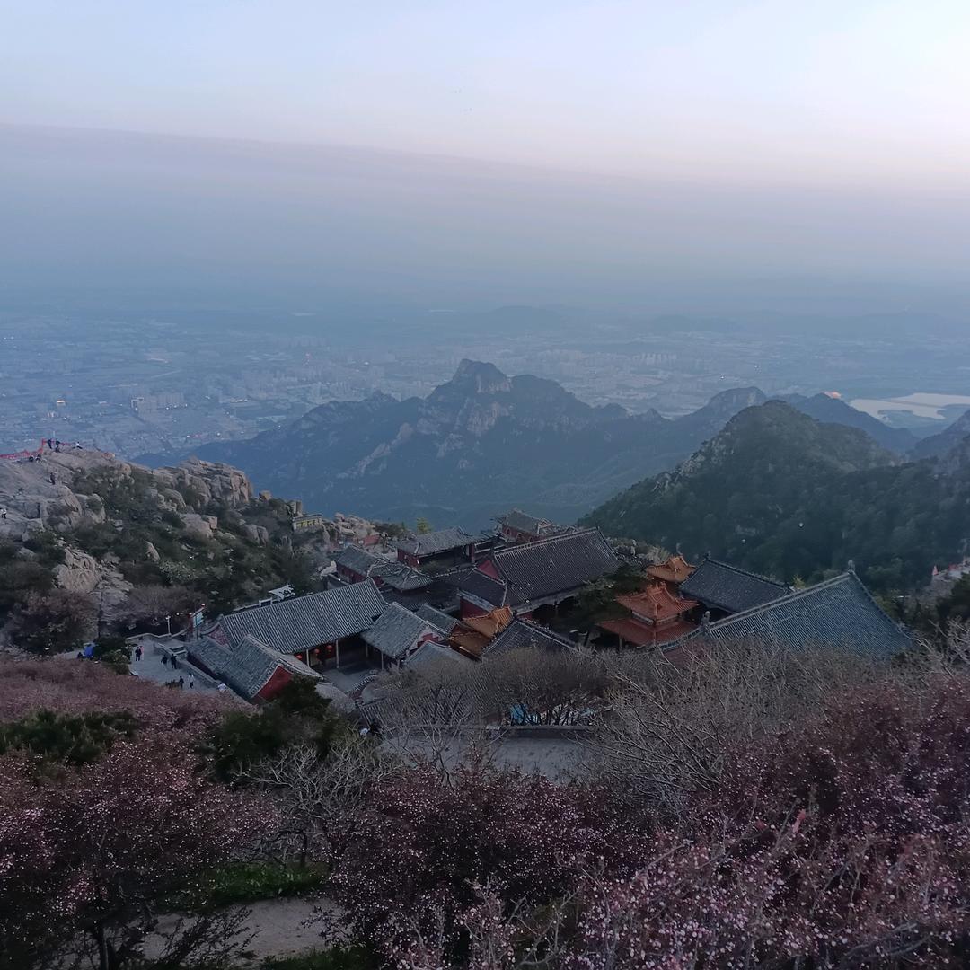 随便┐(‘～`；)┌