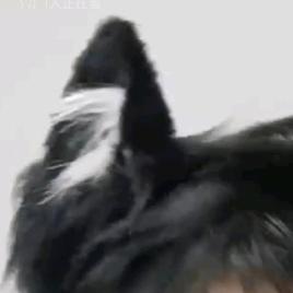 眠眠睡醒了