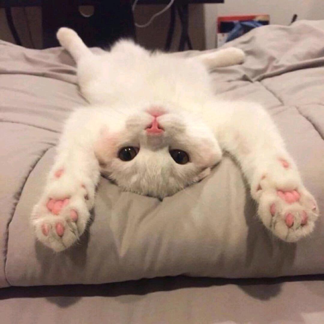 慢半拍老杨