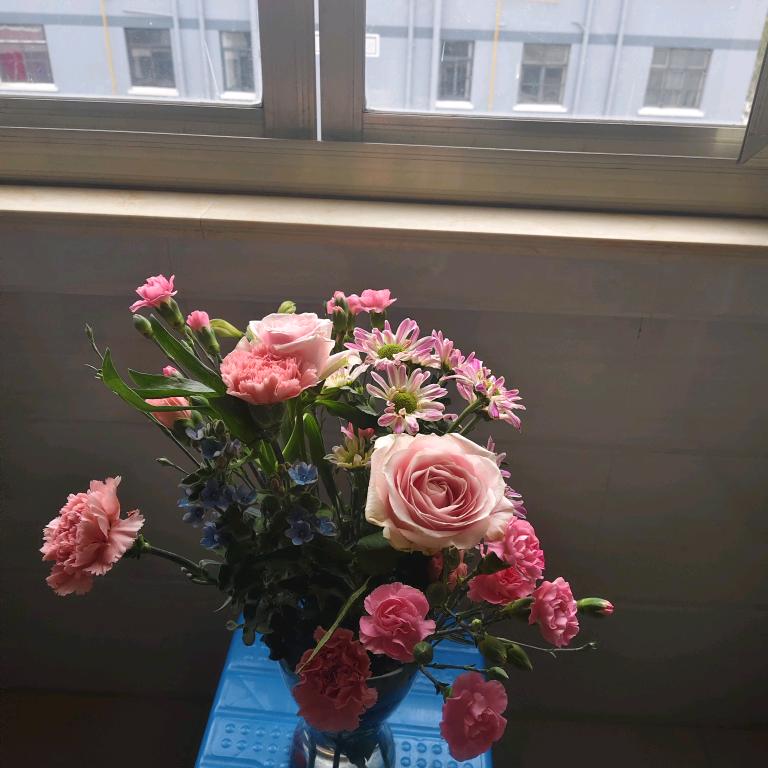 自娱自乐开心快乐每一天