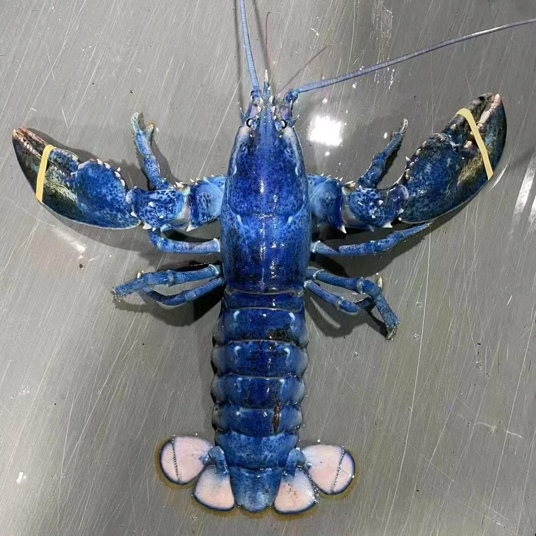 李鲜生海鲜店（礼盒定制）