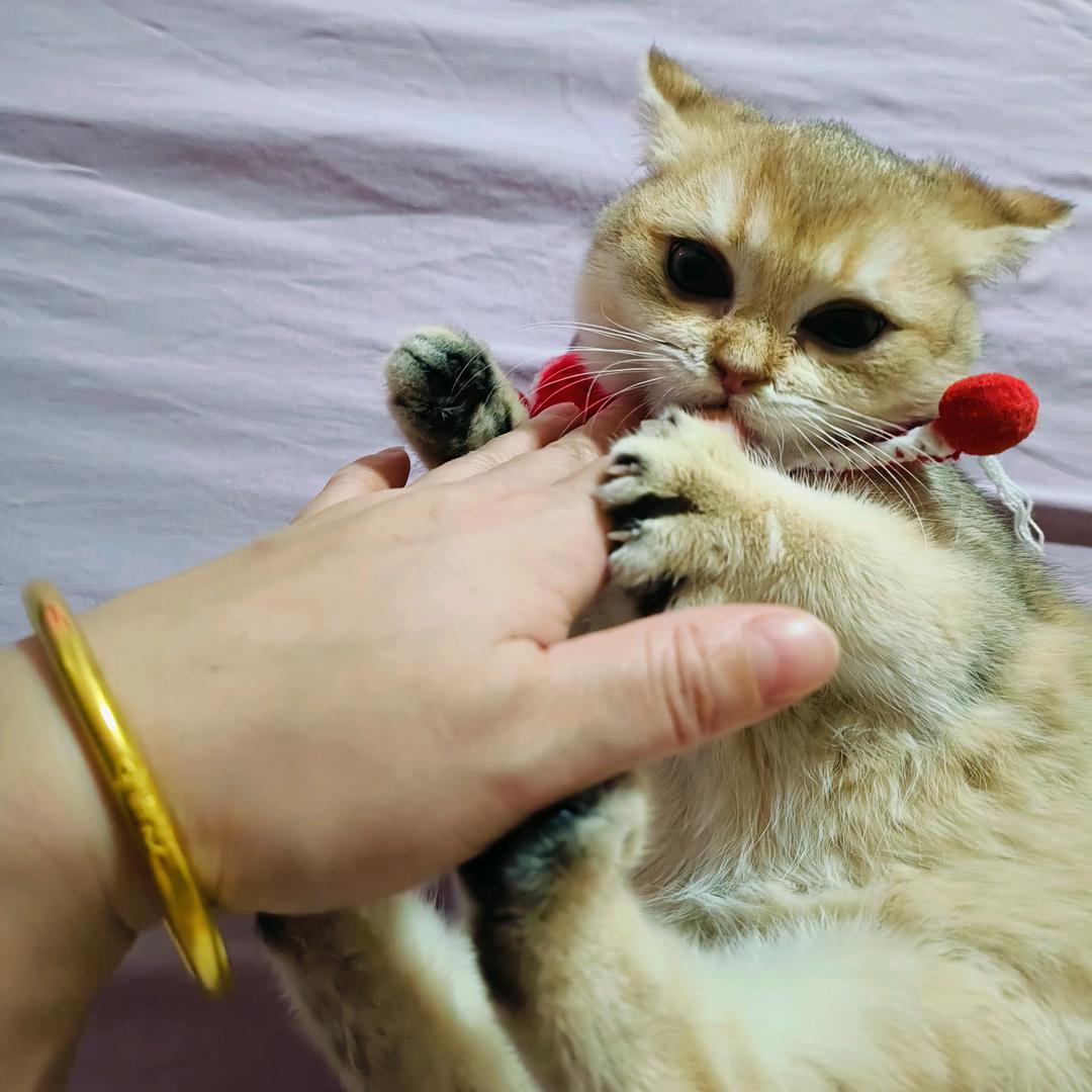 蓉蓉推拿