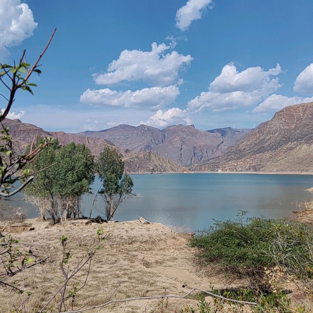 社会主义接班人