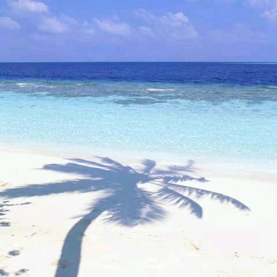 🦞赶海日记🦀