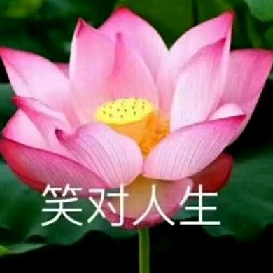 怡然