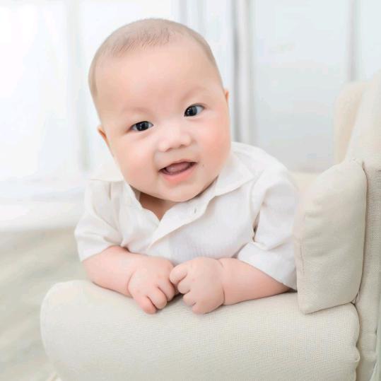 Y丹