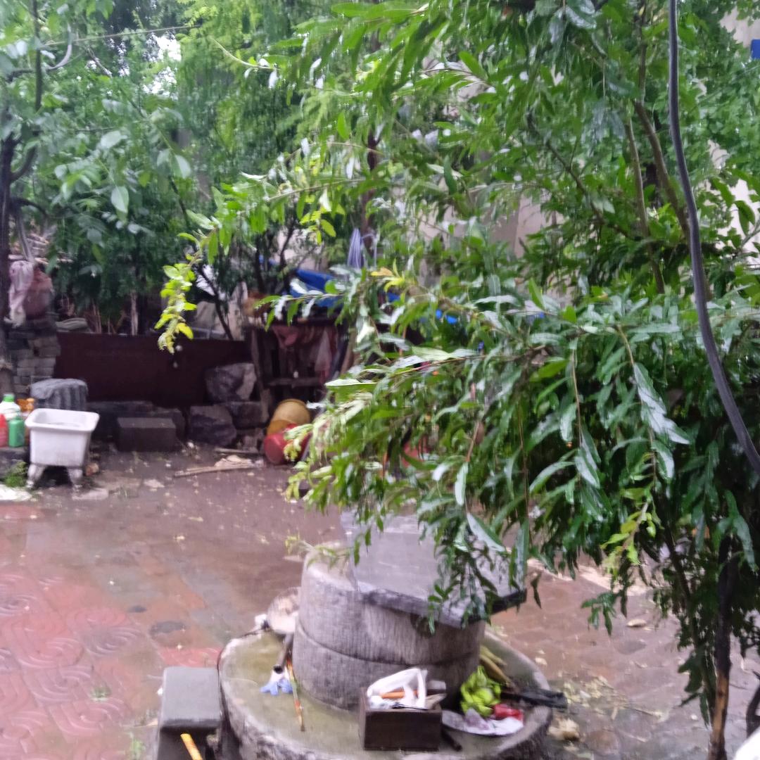 音乐人-幸福巴巴