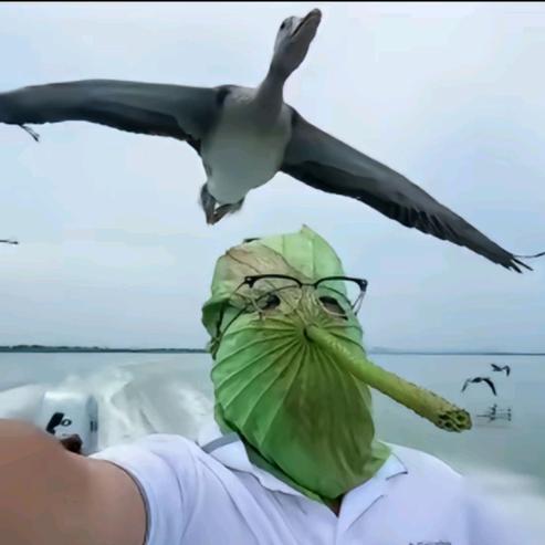 挽月执笔落