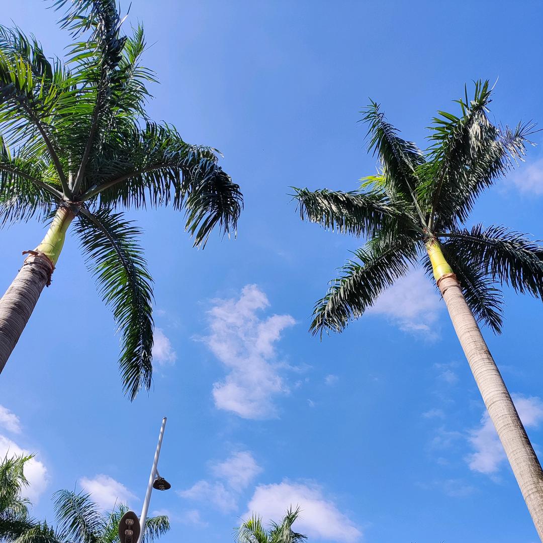 环润环境-污水处理设备及工程