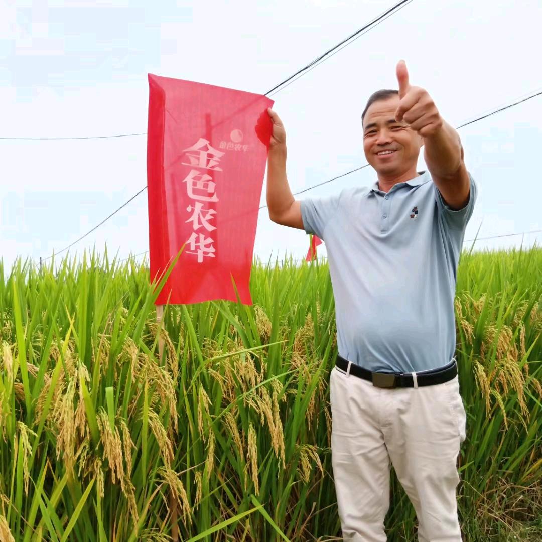 蔡大哥