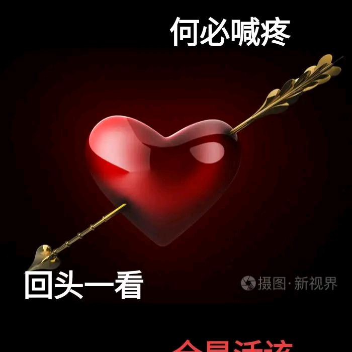 封心锁爱酒言欢