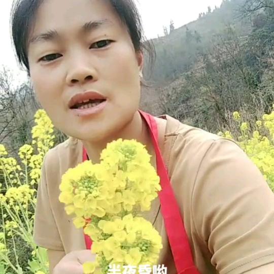 开心的幺妹，刘，吴，