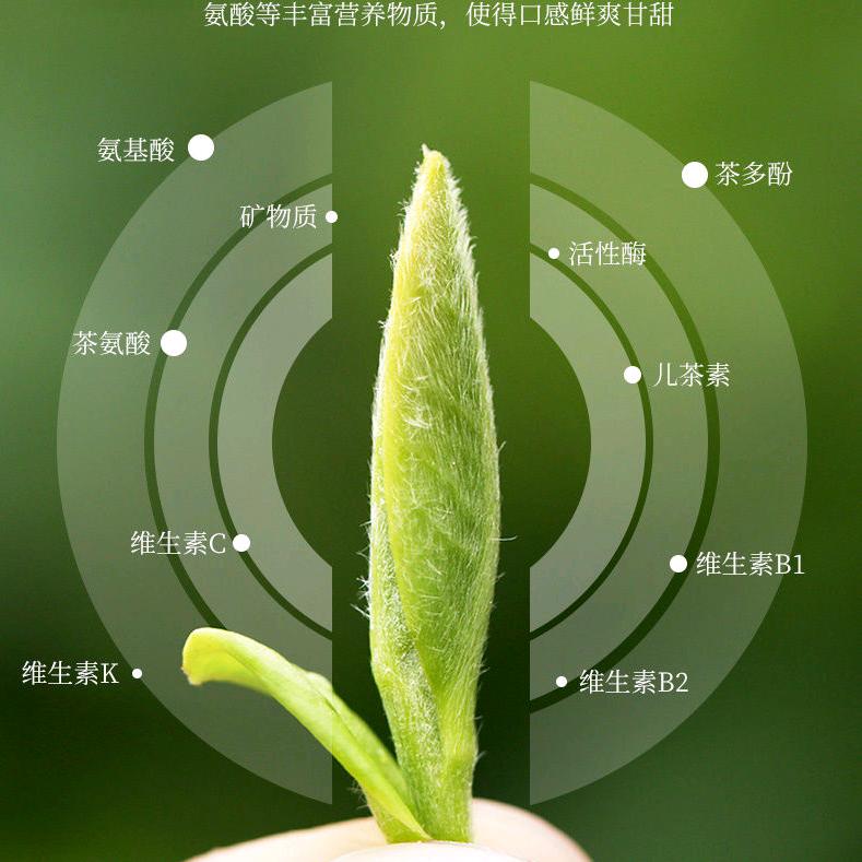 春雨茗茶精选小铺