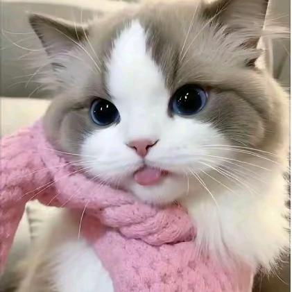 y依美