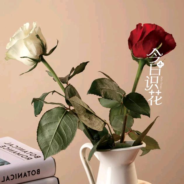 幸福一家人