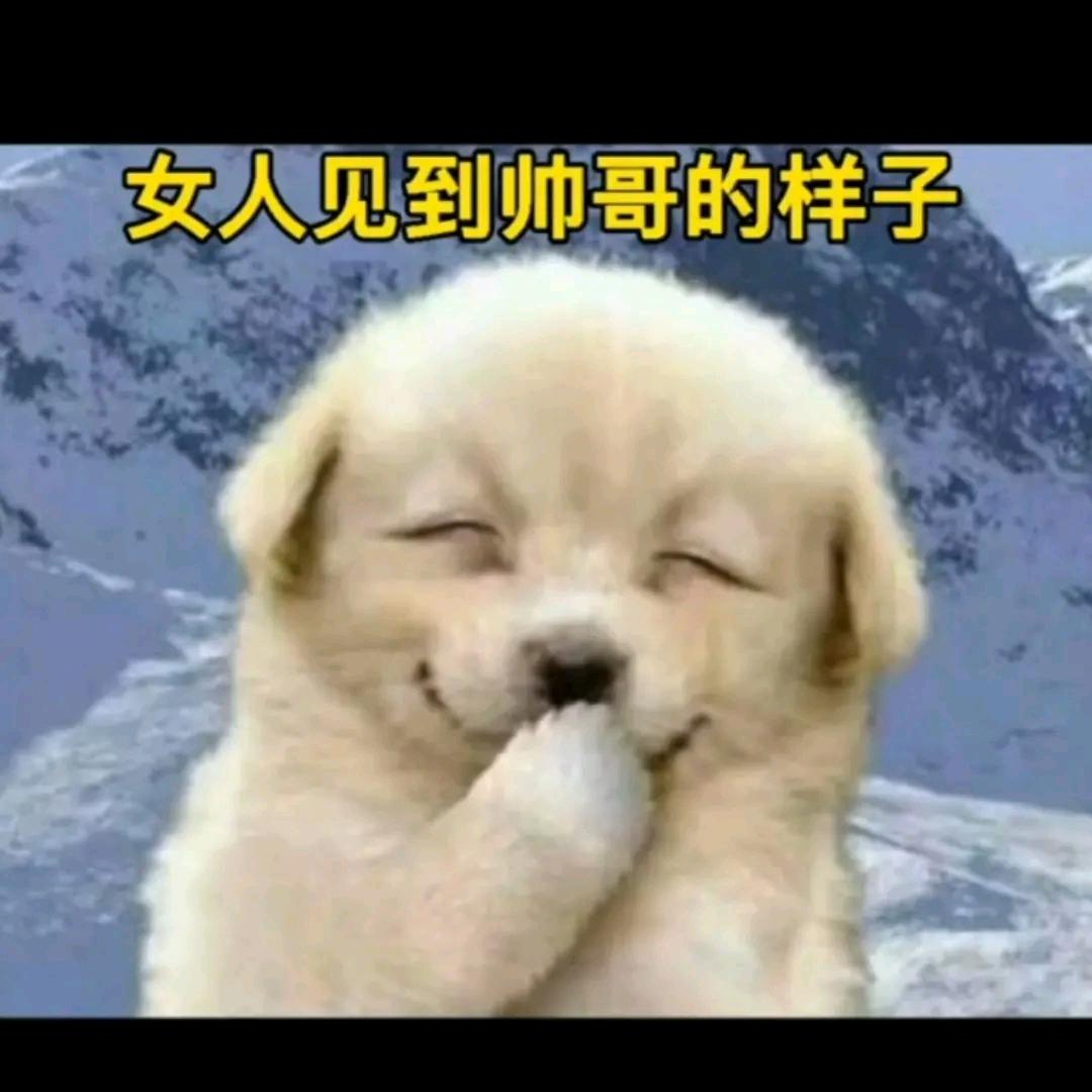 华英雄