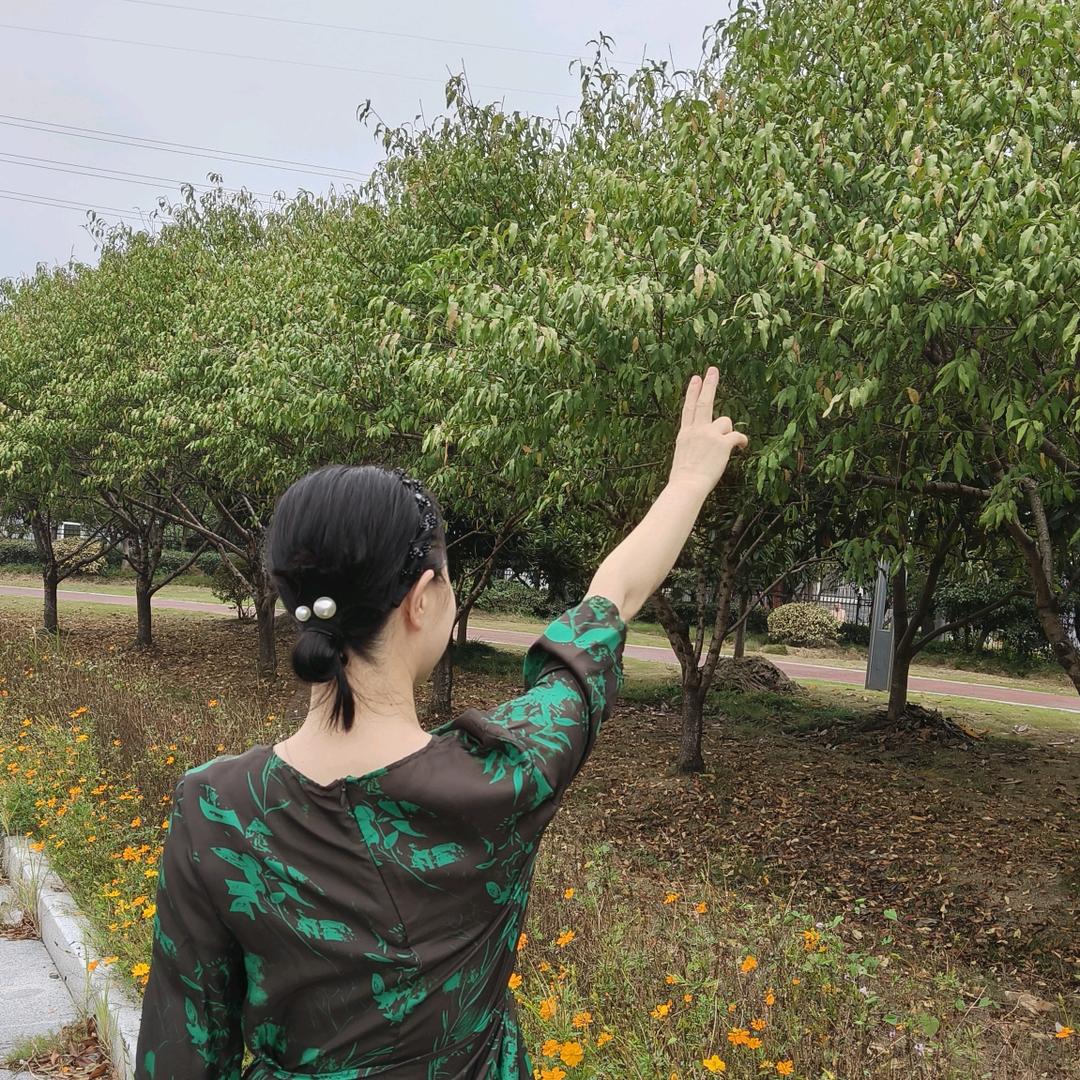 彩虹好物