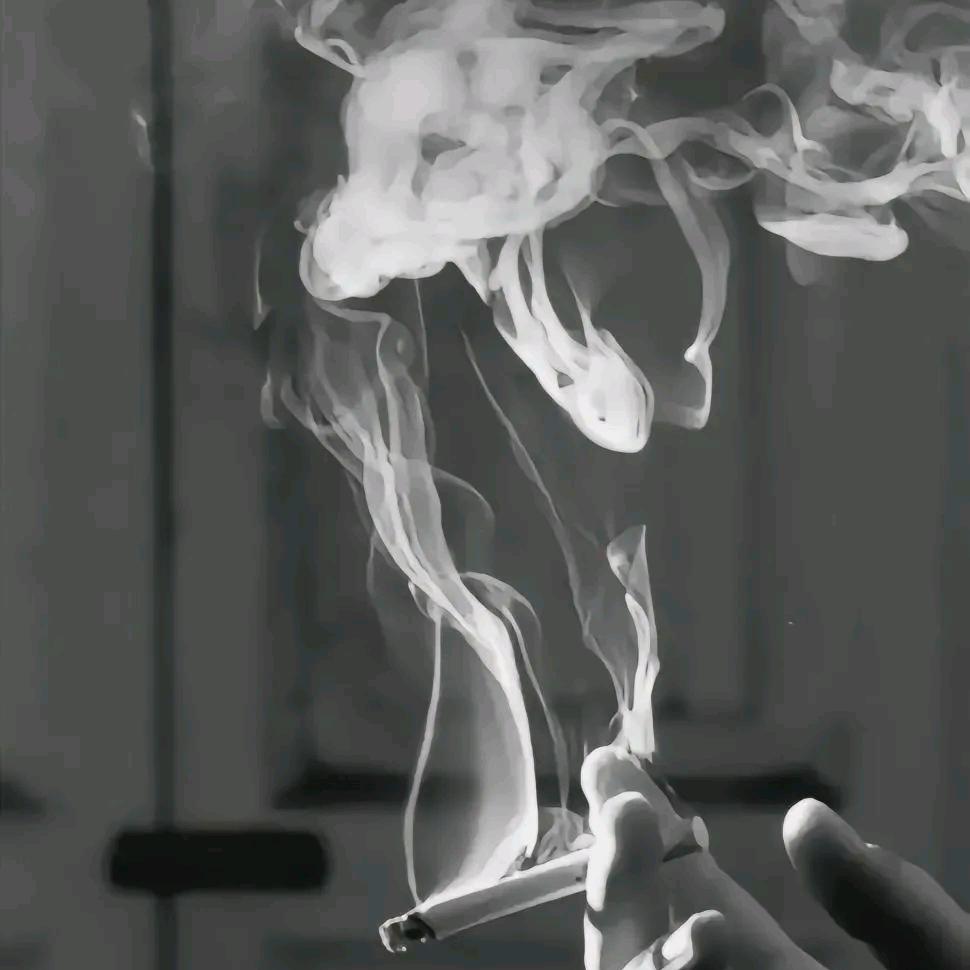遇/见
