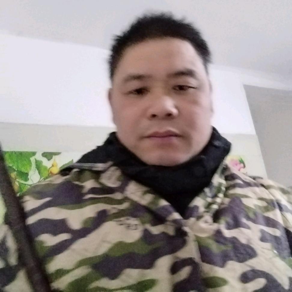 巧派厨电（杨师傅橱柜）